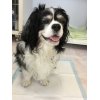 何かできることをしよう