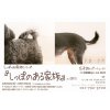 ミニ写真展 in CON TE 開催のお知らせ