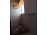 玄関エコカラット貼⑥