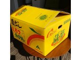 みかん箱買い3回目
