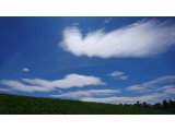久しぶりに晴れた日曜日