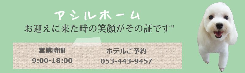 浜松市ペットホテル、一時預かりのことアシルホーム