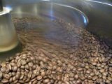 ロブスター種コーヒー豆