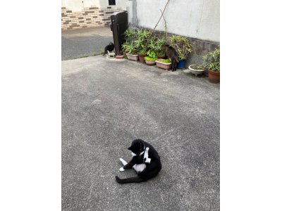 おはようございます。きょうもコロナに負けない元気な笑顔で頑張りましょう。