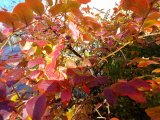 明日祝日土曜日、日曜日はお休み