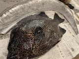 再びの