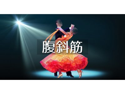腹斜筋