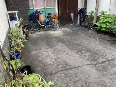 おはようございます。光療術院のにゃんきーずです。