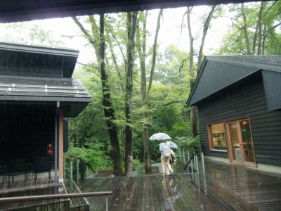 真夏から秋に