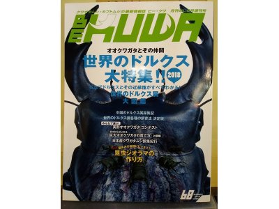 ビークワ68号　夏号　入荷しています