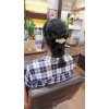 ヘアセット♪♪