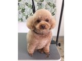 2015/12/3(木)