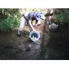 本日アマゴの成魚放流をいたしました。