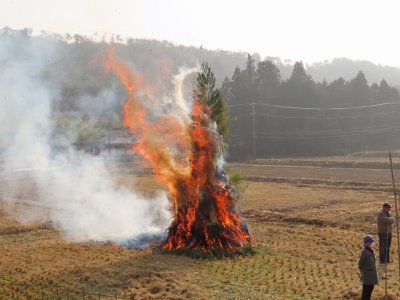 とんど祭り