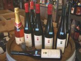 シュロス・プロシュヴィッツ醸造所　ワイン各種入荷いたしました。