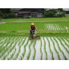 7/3『中耕除草』…体の鍛錬が続きます。