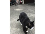 おはようございます。きょうも一日よろしくお願いいたします。