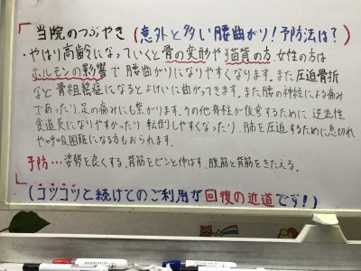 今年の異常気象は台風も・・・