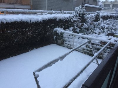 新着情報