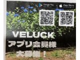 VELUCK 　ヴェラックのアプリ