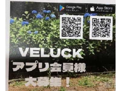 VELUCK 　ヴェラックのアプリ