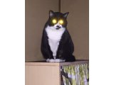 おはようございます。きょうもハッピーな笑顔でよろしくお願いいたします。