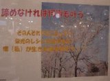 生きた証