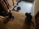 おはようございます。きょうもハッピーな笑顔で頑張りましょう。