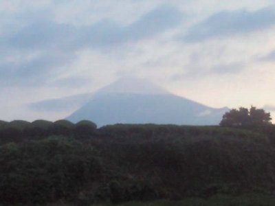 今日からお盆