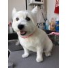 本日のお客様♪その1