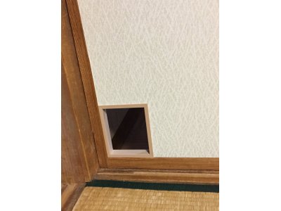 ネコちゃんのために(^ ^)
