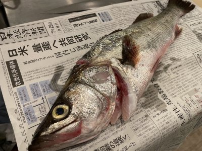 またややこし