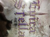 レアなゲームの商品情報