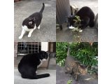 おはようございます。きょうも寒さに負けないホットな笑顔でよろしくお願いいたします。