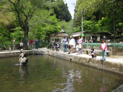 上川養鱒場たより 8月 1日