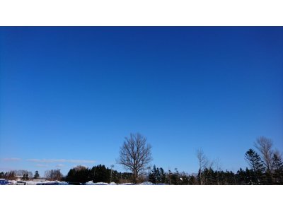 本日9時まで貸切とさせて頂きます