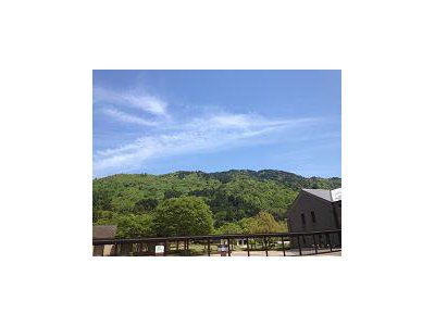 眼の保養として