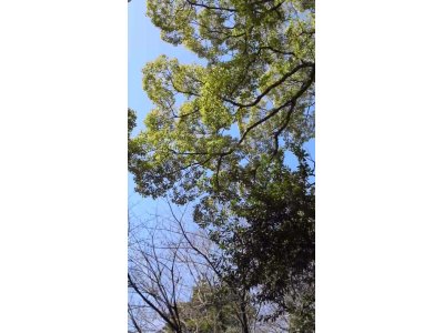 大将のおすすめ☆