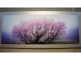 アートな春 「天野 尚 写真展 未来の記憶」