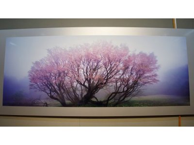 アートな春 「天野 尚 写真展 未来の記憶」