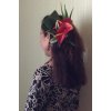 Anthurium(アンスリウム）