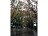 ダイエット164日目