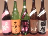 明日祝日も営業!