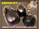 全国発送承ります