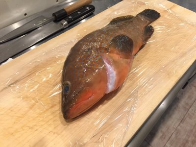 嘘も方便