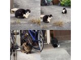 おはようございます。きょうもハッピーな笑顔で頑張りましょう。