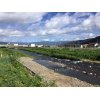 おはようございます。本日の川の様子です。 