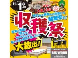 アウトレット家具の収穫祭！