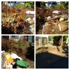 札幌市北区にて枝木廃材処分回収　便利屋タクミ