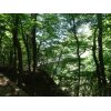 太田の金山にちょっとハイキング